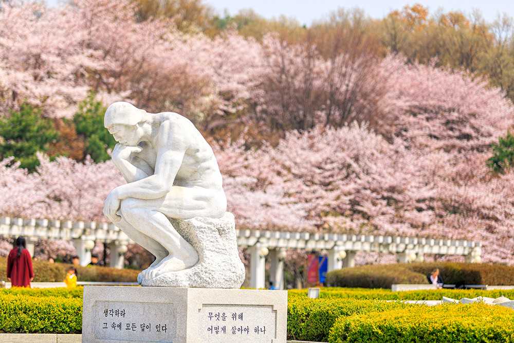 用5ber eSIM，把境外电话卡装进国行手机里