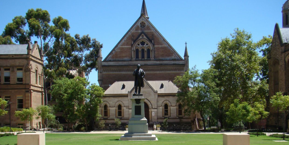 革也爱丽丝护照夹：属于你的独一无二